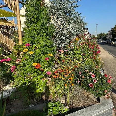 Diamanthaus Deluxe 8 Koblenz (Rhineland-Palatinate)