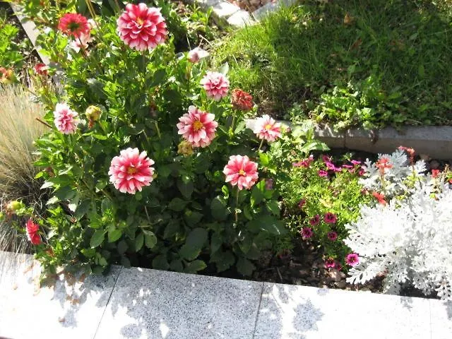 Diamanthaus Deluxe 8 * Coblenza