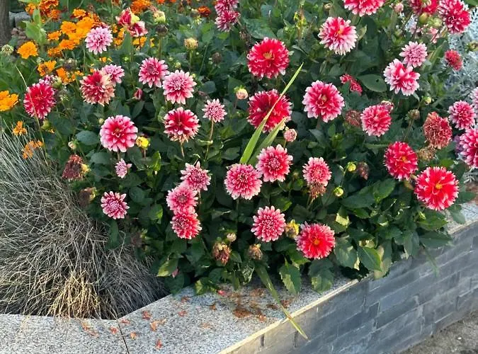 Diamanthaus Deluxe 8 *