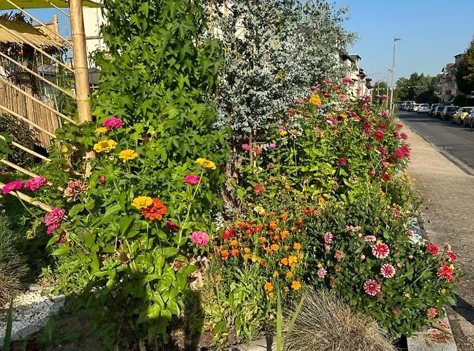 Diamanthaus Deluxe 8 Koblenz (Rhineland-Palatinate)